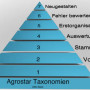 agrostar_taxonomien.jpg